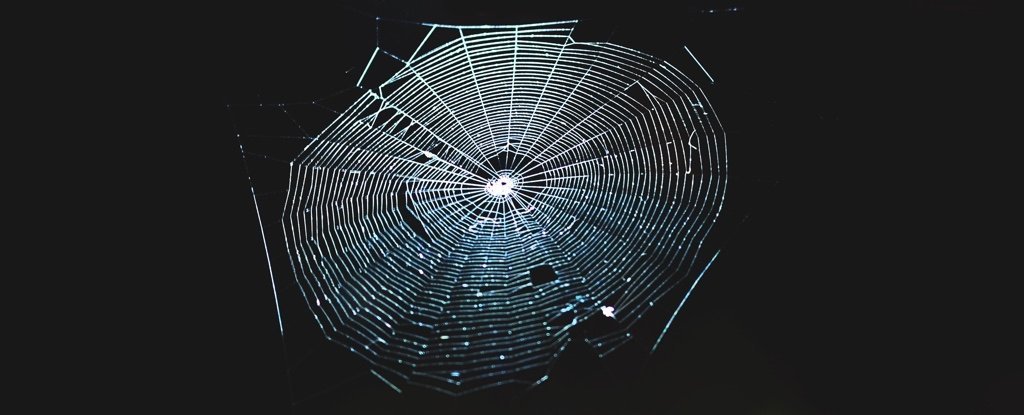 Des scientifiques ont traduit une toile d’araignée en musique, et c’est tout à fait captivant
