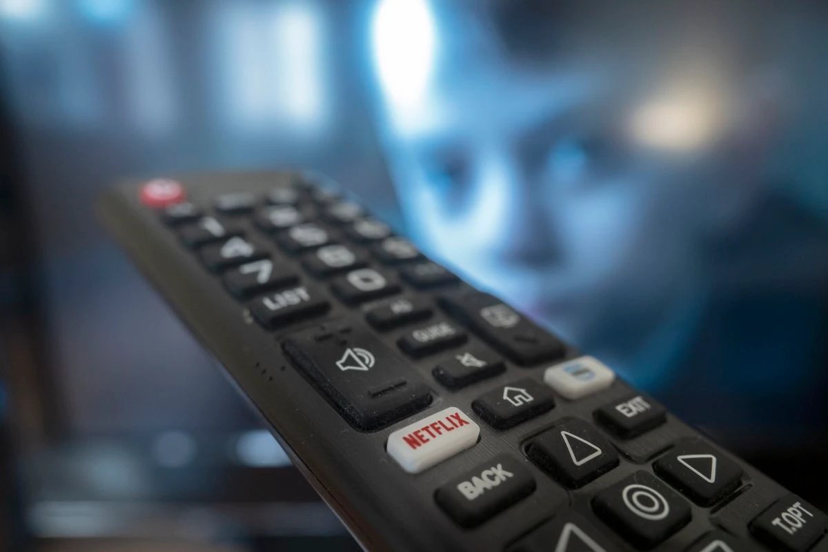 Netflix, Aina et Wikipédia - EL PAÍS