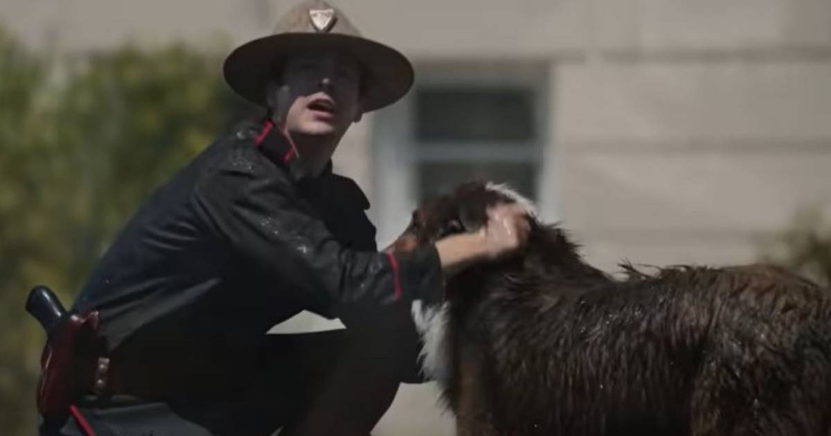 'Ruby's rescue' : la véritable histoire du chien qui a inspiré le film Netflix