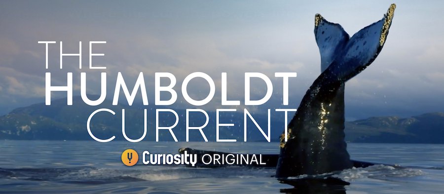 StarHub TV+ suscite Curiosity pour la dixième application de streaming entièrement intégrée |  OTT |  Nouvelles |  Nouvelles télévisées rapides - Nouvelles télévisées rapides