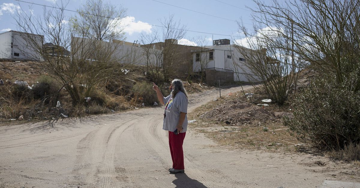 Des adolescents américains recrutés pour chasser des migrants de la frontière mexicaine - News 24