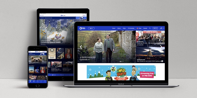 ÉVÉNEMENT VIRTUEL: Naviguez sur vos appareils de diffusion Fire TV Stick - 22 avril - Alaska Public Media News