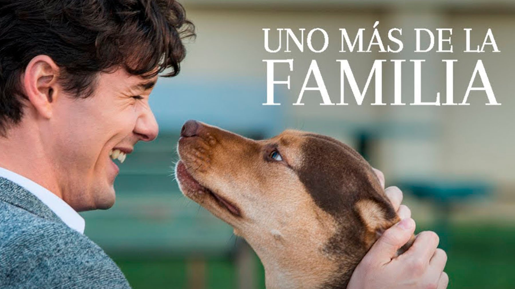Le film Netflix réconfortant qui vous brisera le cœur - Okdiario