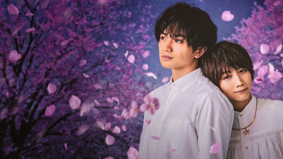 "Love Like the Falling Petals": critique de la romance Netflix du Japon – film plus critique