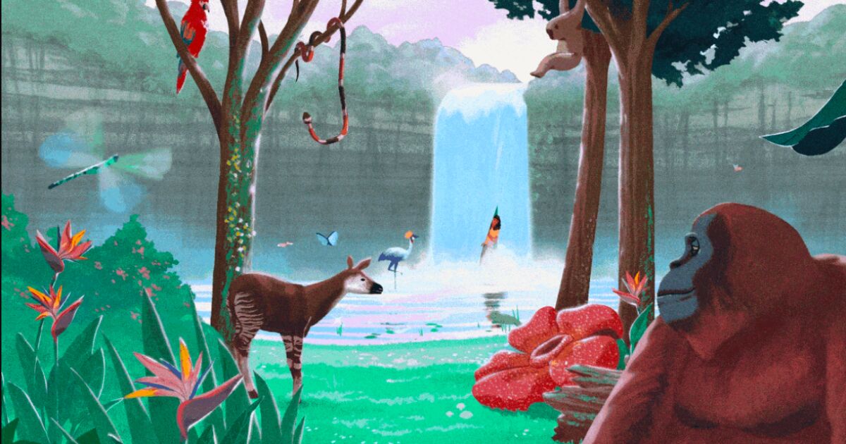 Netflix a sélectionné 170 histoires pour honorer la nature - Expansion