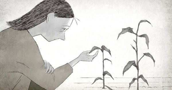 Netflix a un film de seulement 12 minutes qui fait pleurer tout le monde : il a remporté un Oscar et c'est génial