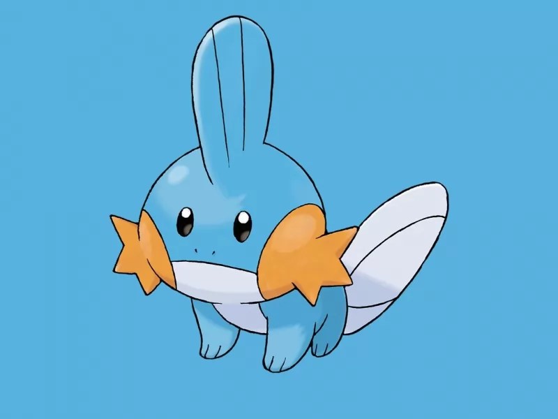 Pokémon GO, le Classic Community Day commence aujourd'hui : le protagoniste est Mudkip