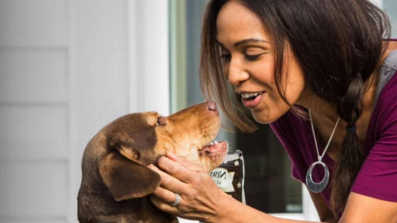 Pour les amoureux des chiens : le film qui dure 90 minutes et que vous n'oublierez jamais - Terra