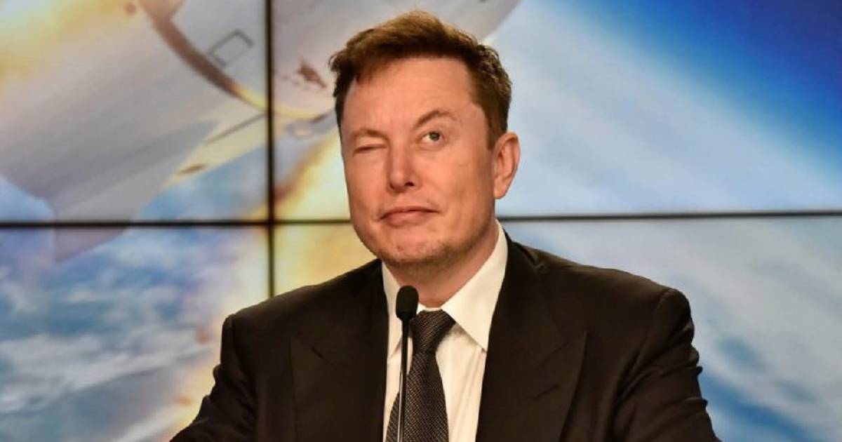 Virus réveillés ?  Musk explique la raison de l'effondrement des utilisateurs de Netflix