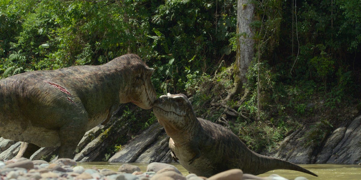 Comment regarder 'Prehistoric Planet' - maintenant en streaming sur Apple TV Plus - Business Insider