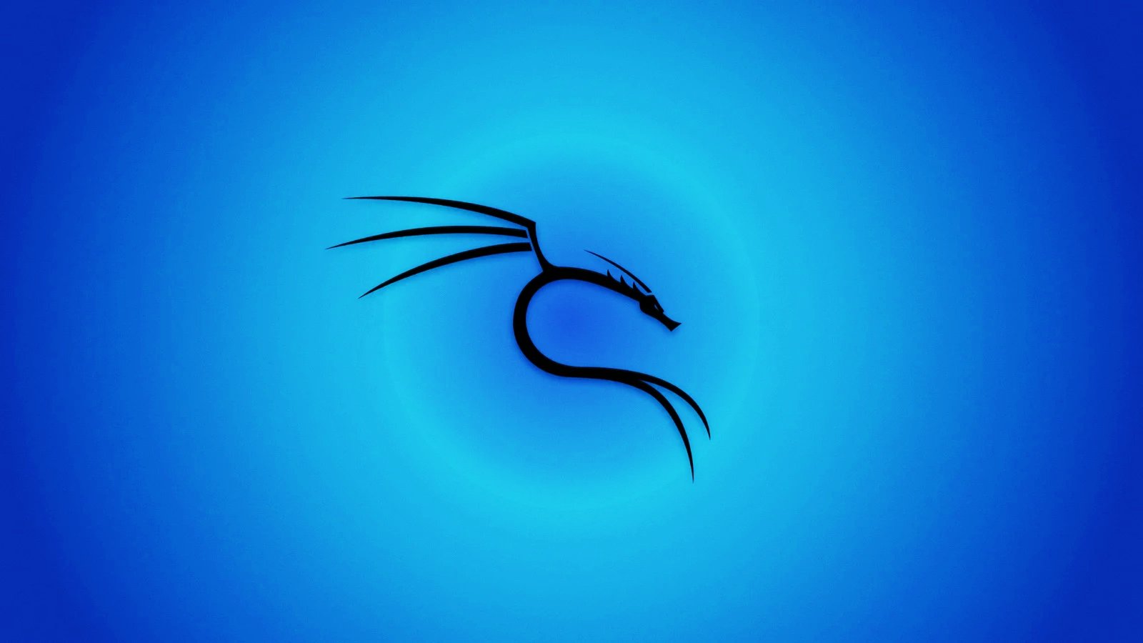 Kali Linux background