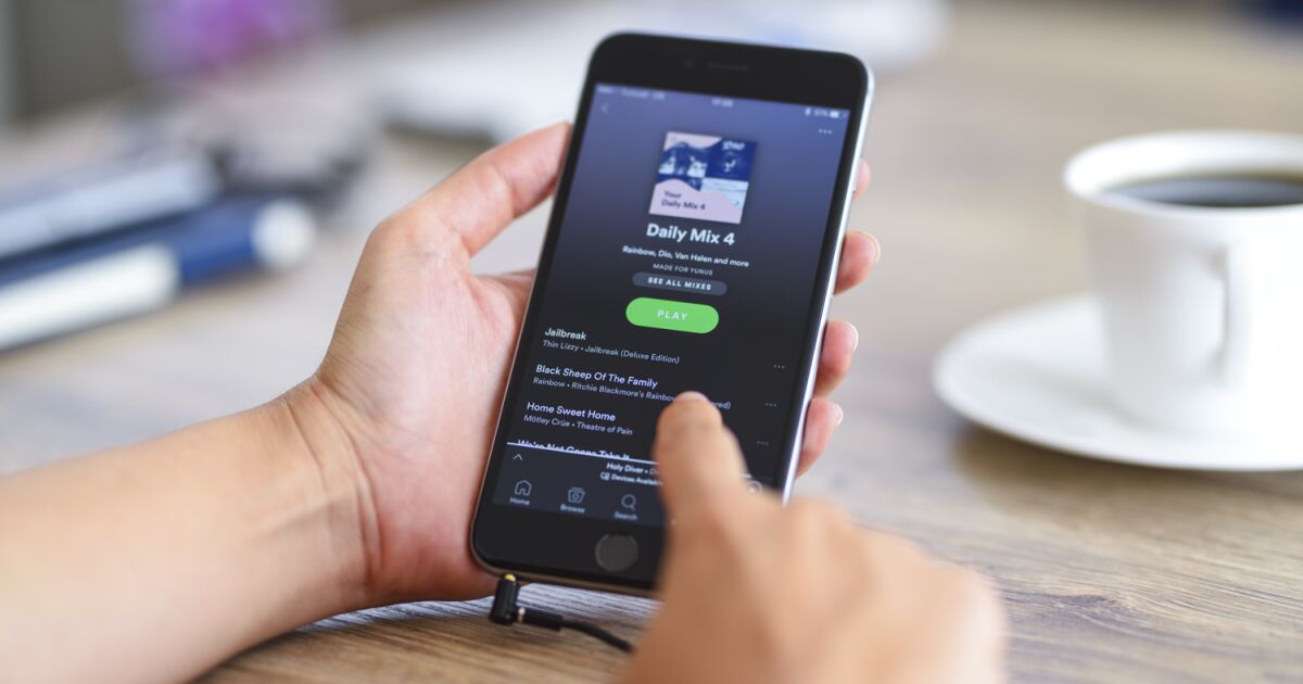 Spotify rencontre des investisseurs, avant la "tempête Netflix" - Expansión