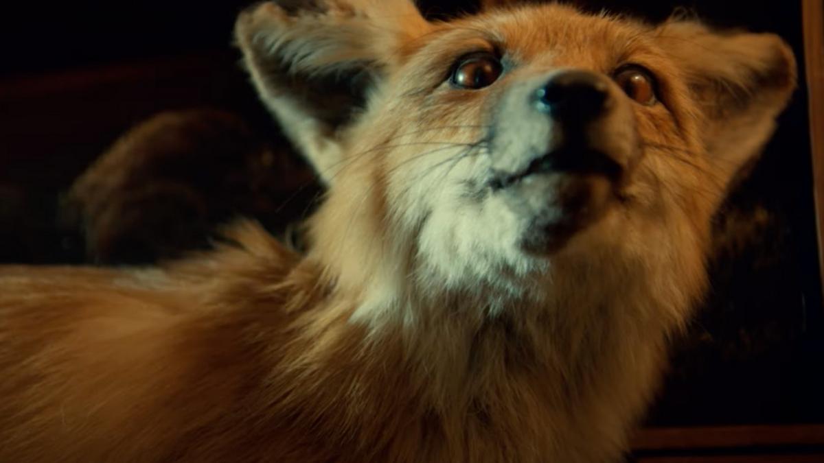 Teaser du cabinet de curiosités de Guillermo del Toro, la série d'anthologies d'horreur de Netflix - Consoles de jeux