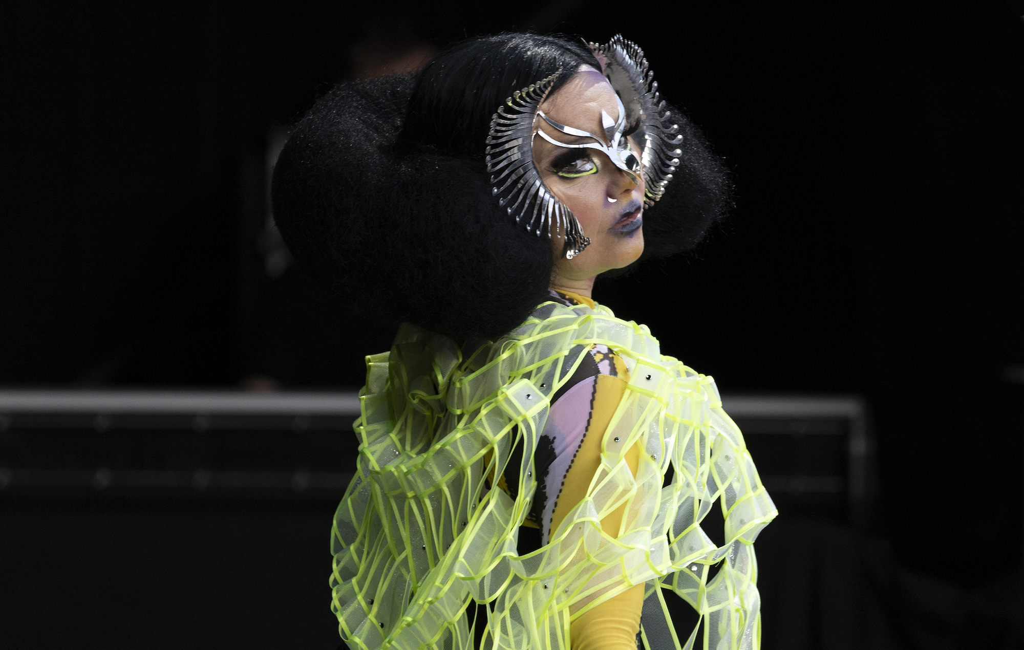 Björk partage l’illustration de « Fossora » et plus de détails sur le nouvel album
