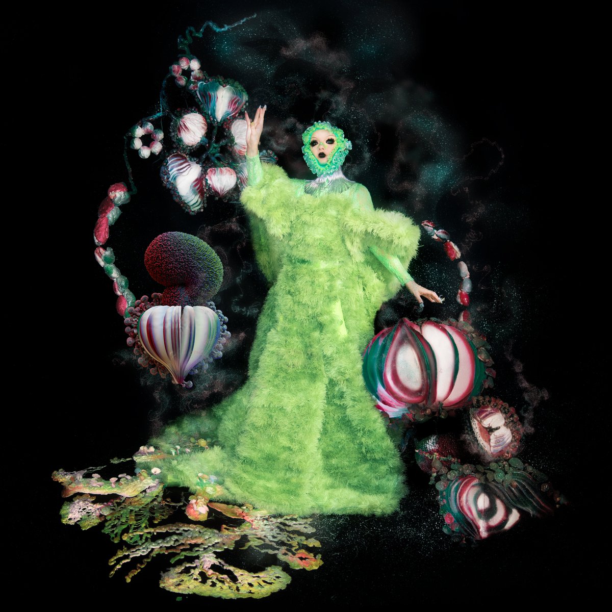 Björk sort un nouveau single "atopos": Écouter
