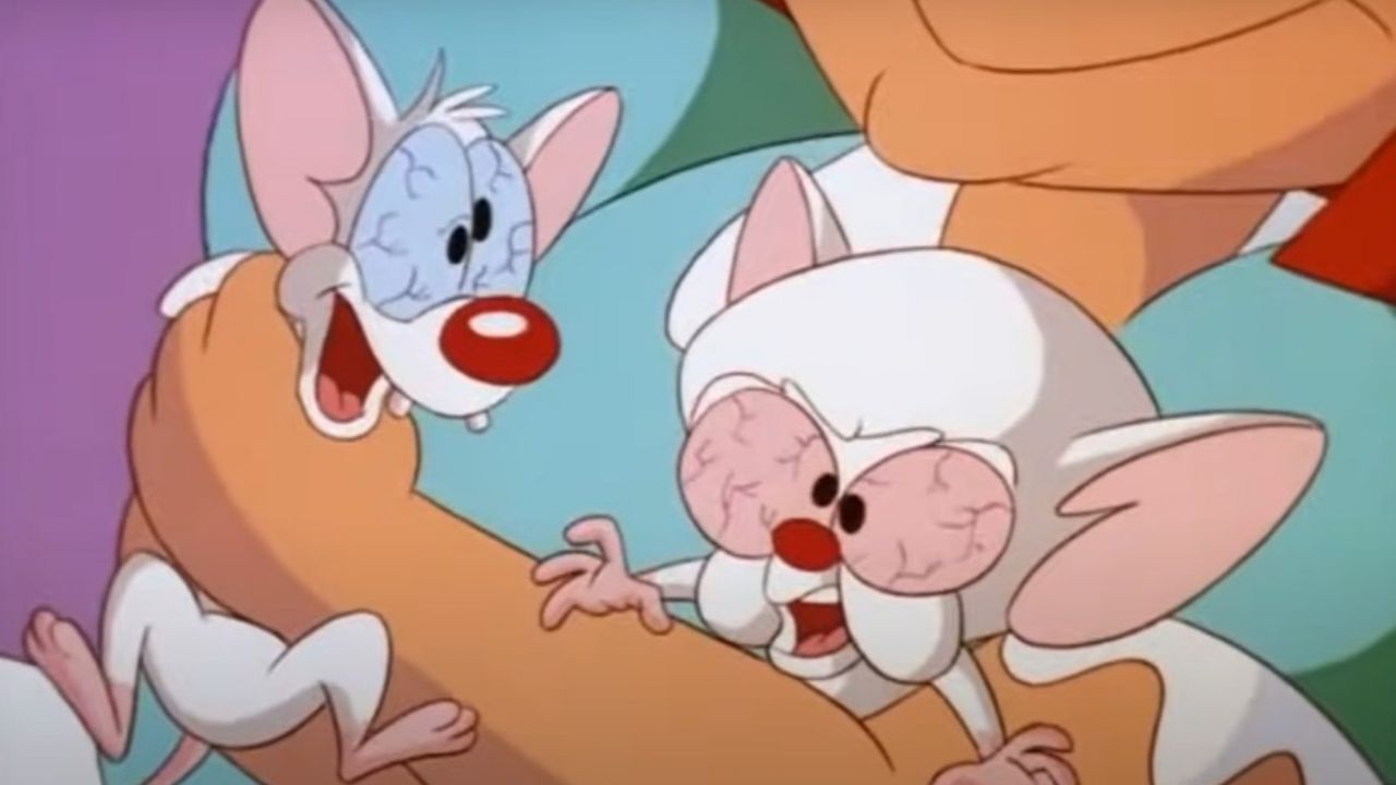 Pinky et le cerveau ;  l'histoire derrière le rêve de conquérir le monde - MVS News