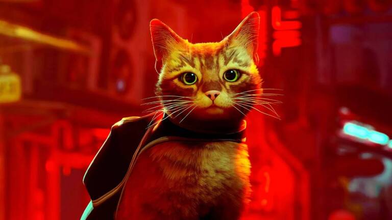 Stray: voici où précommander à prix réduit