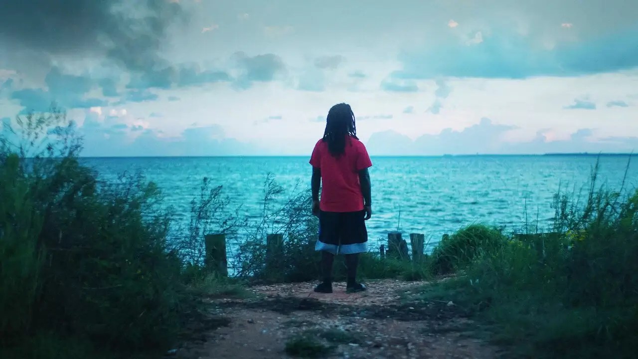 Faut-il regarder 'Descendant' sur Netflix ?  Revue documentaire