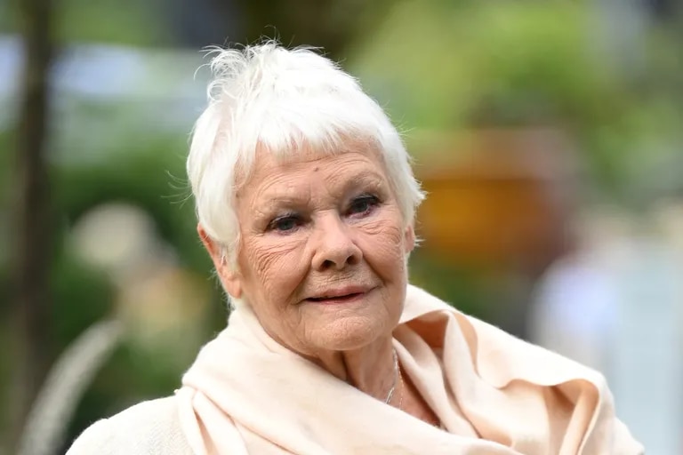 Judi Dench a décrit The Crown comme "cruel et injuste" avec la couronne et a une demande pour Netflix