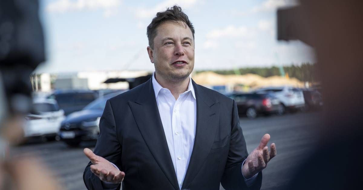 "C'est la personne la plus courageuse du monde": le PDG de Netflix "envoie des fleurs" à Elon Musk