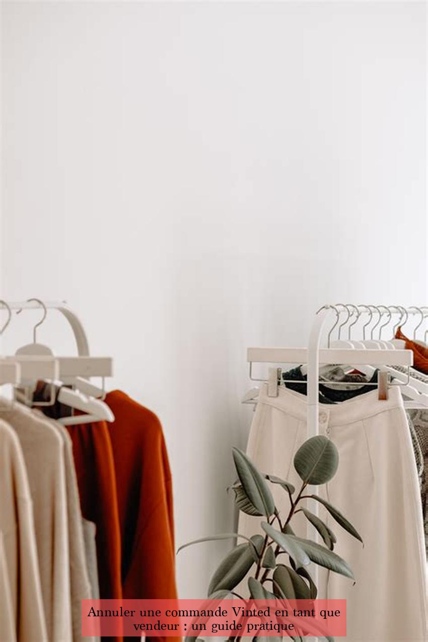 Annuler une commande Vinted en tant que vendeur : un guide pratique