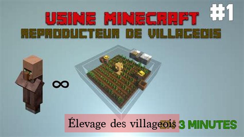 Élevage des villageois