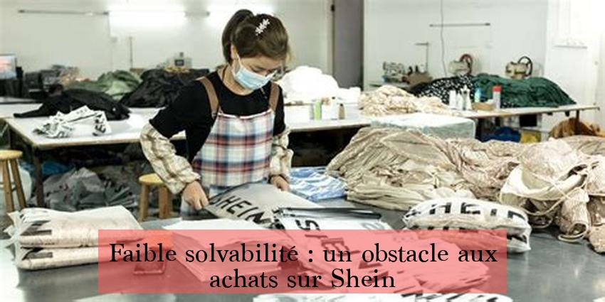 Faible solvabilité : un obstacle aux achats sur Shein
