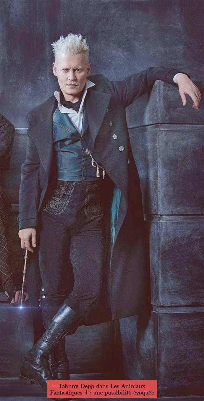 Johnny Depp dans Les Animaux Fantastiques 4 : une possibilité évoquée