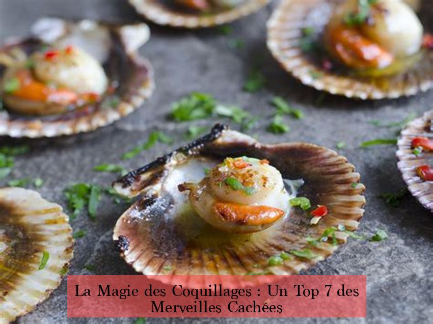 La Magie des Coquillages : Un Top 7 des Merveilles Cachées
