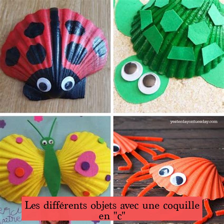 Les différents objets avec une coquille en "c"