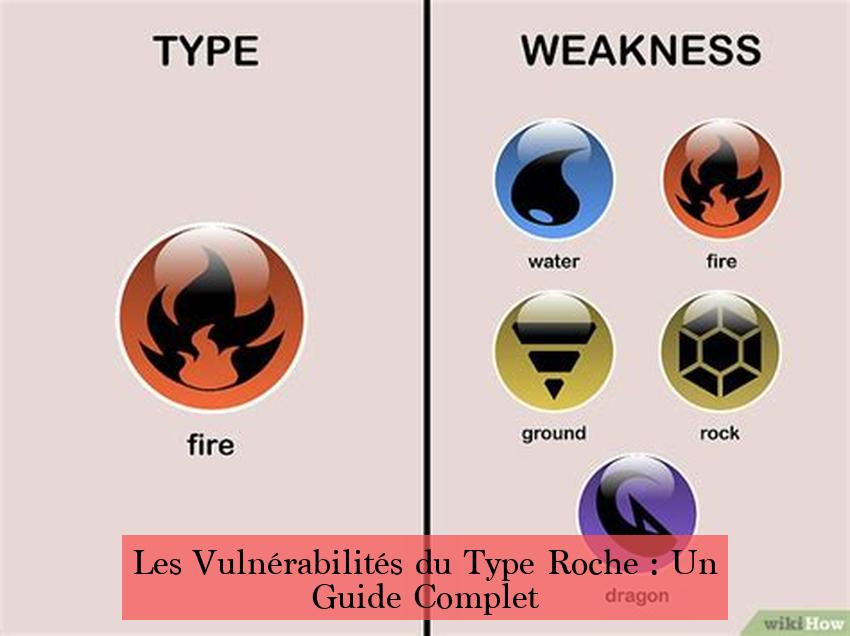 Les Vulnérabilités du Type Roche : Un Guide Complet