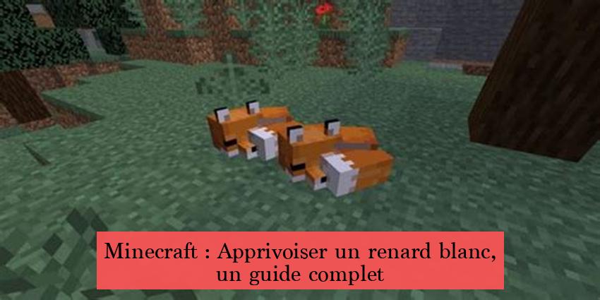 Minecraft : Apprivoiser un renard blanc, un guide complet