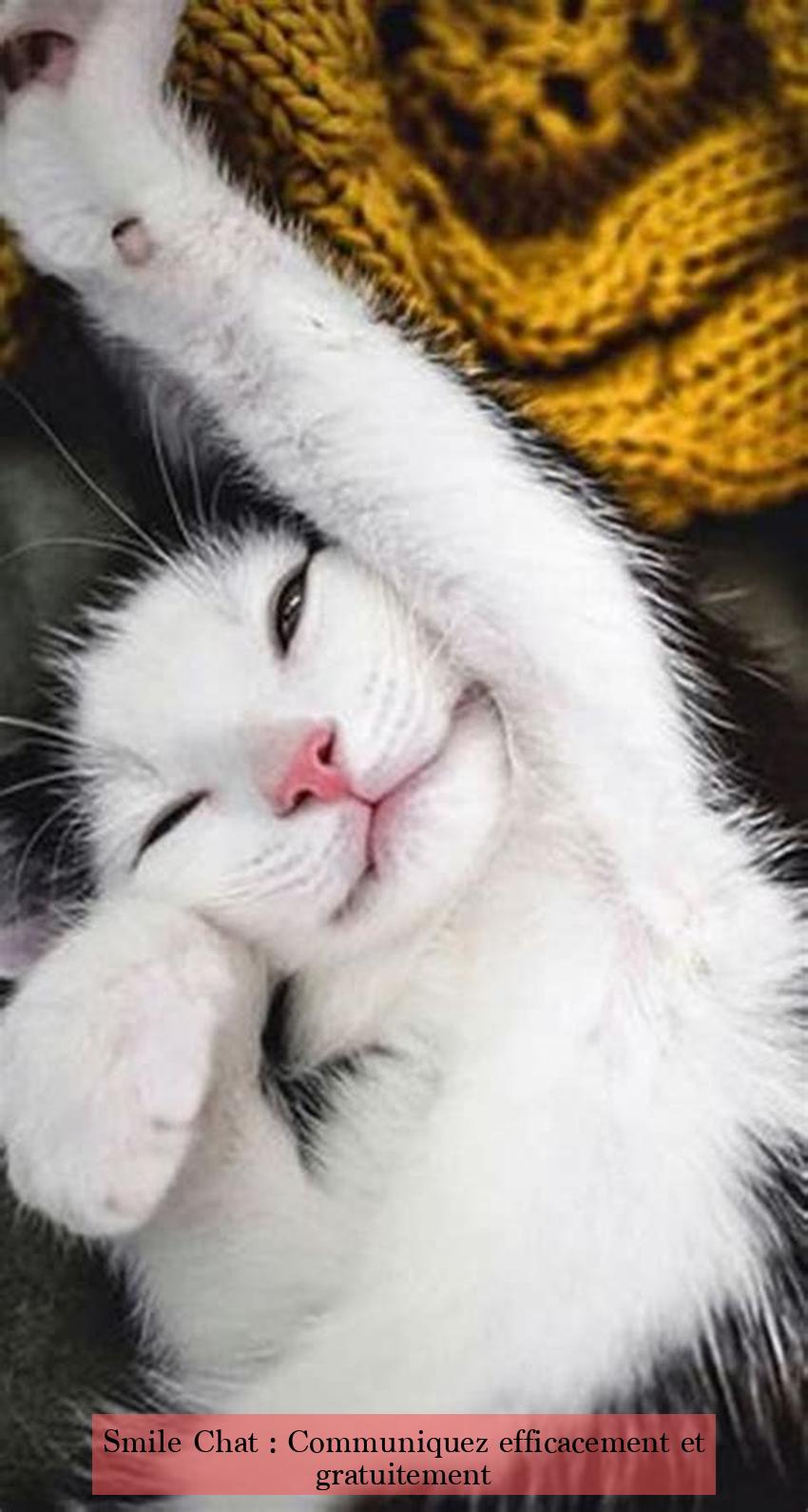 Smile Chat : Communiquez efficacement et gratuitement