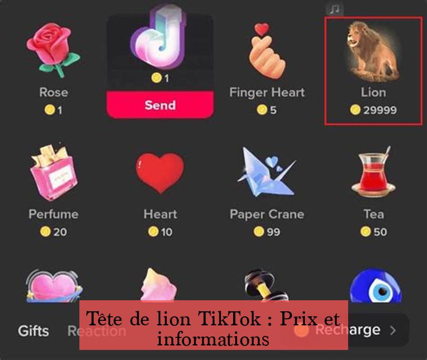 Tête de lion TikTok : Prix et informations