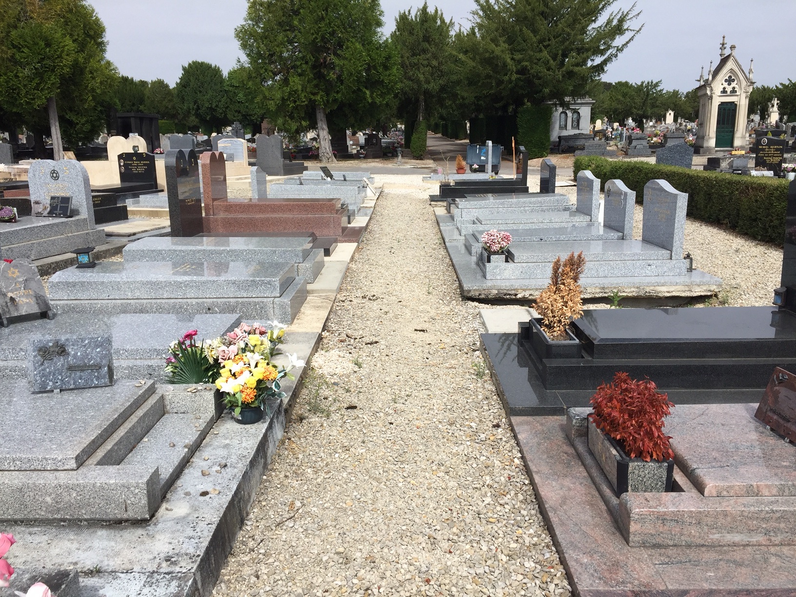 Quand se retrouve les Mugiwara ?