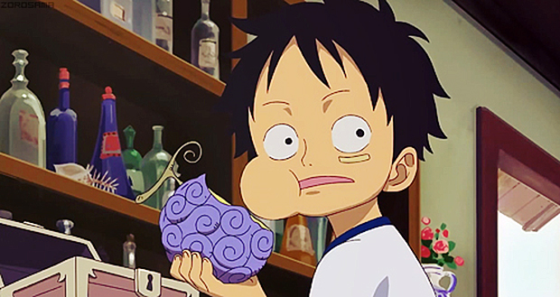Quel est le fruit du démon de Sanji ?