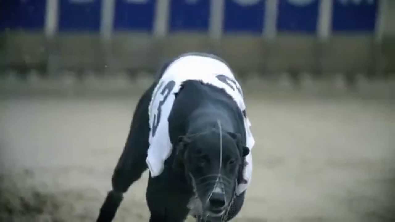Quel est le fruit le plus puissant ?