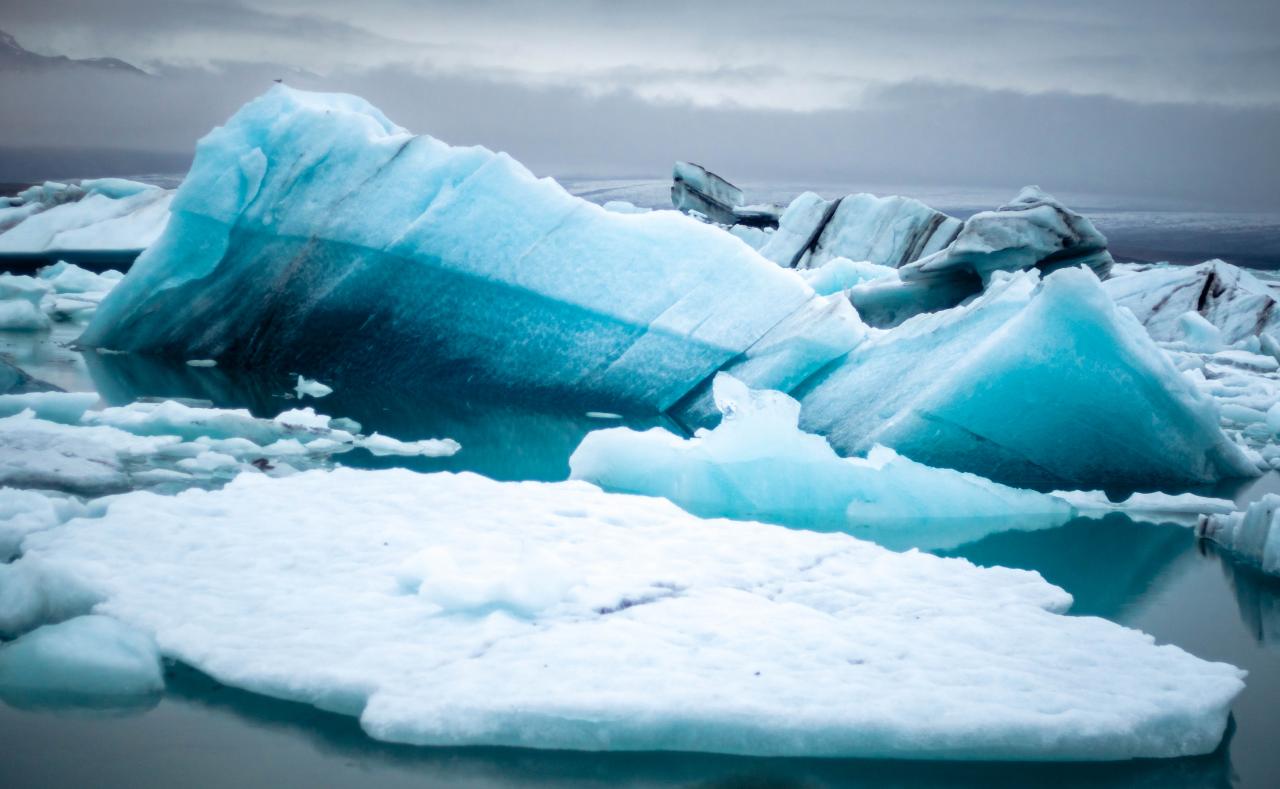 Quelle est la différence entre l'Arctique et l'Antarctique ?
