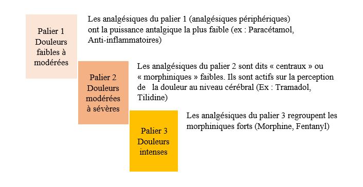 Quelle hormone contre la douleur ?