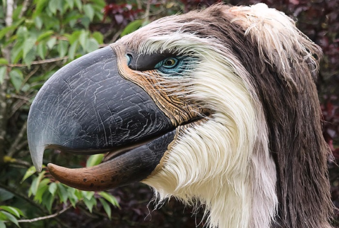 Quels sont les 10 animaux les plus dangereux ?