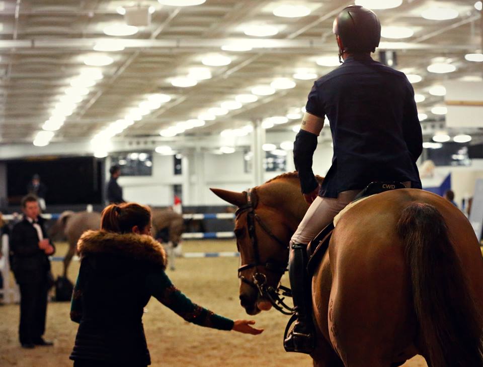 Gli Incredibili Guinness Dell Equitazione Un Mondo Di Record Riders Advisor