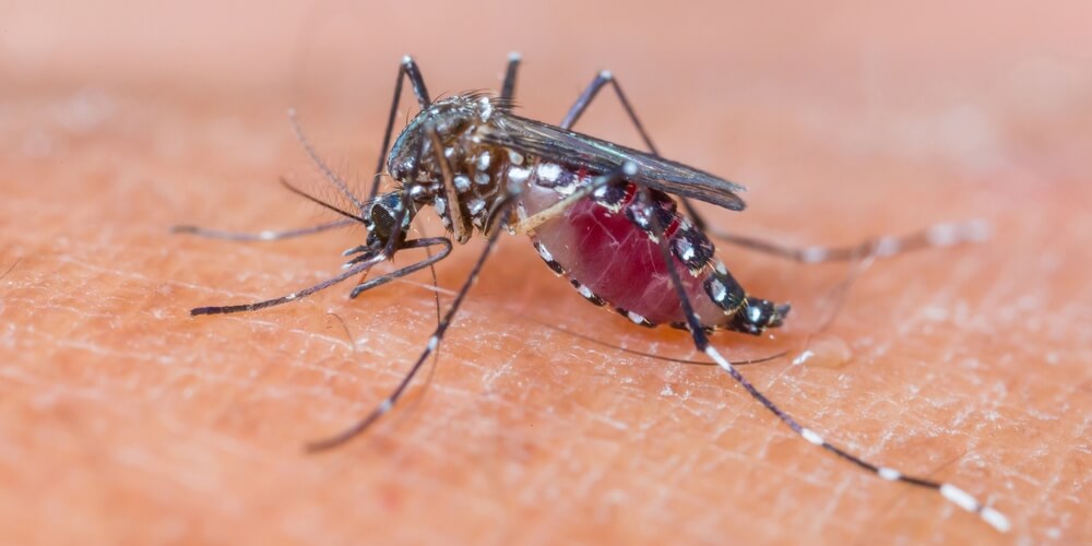 Memahami Metode Penyebaran Penyakit Infeksi Dan Cara Mencegah Penularannya Rsud Sawahlunto