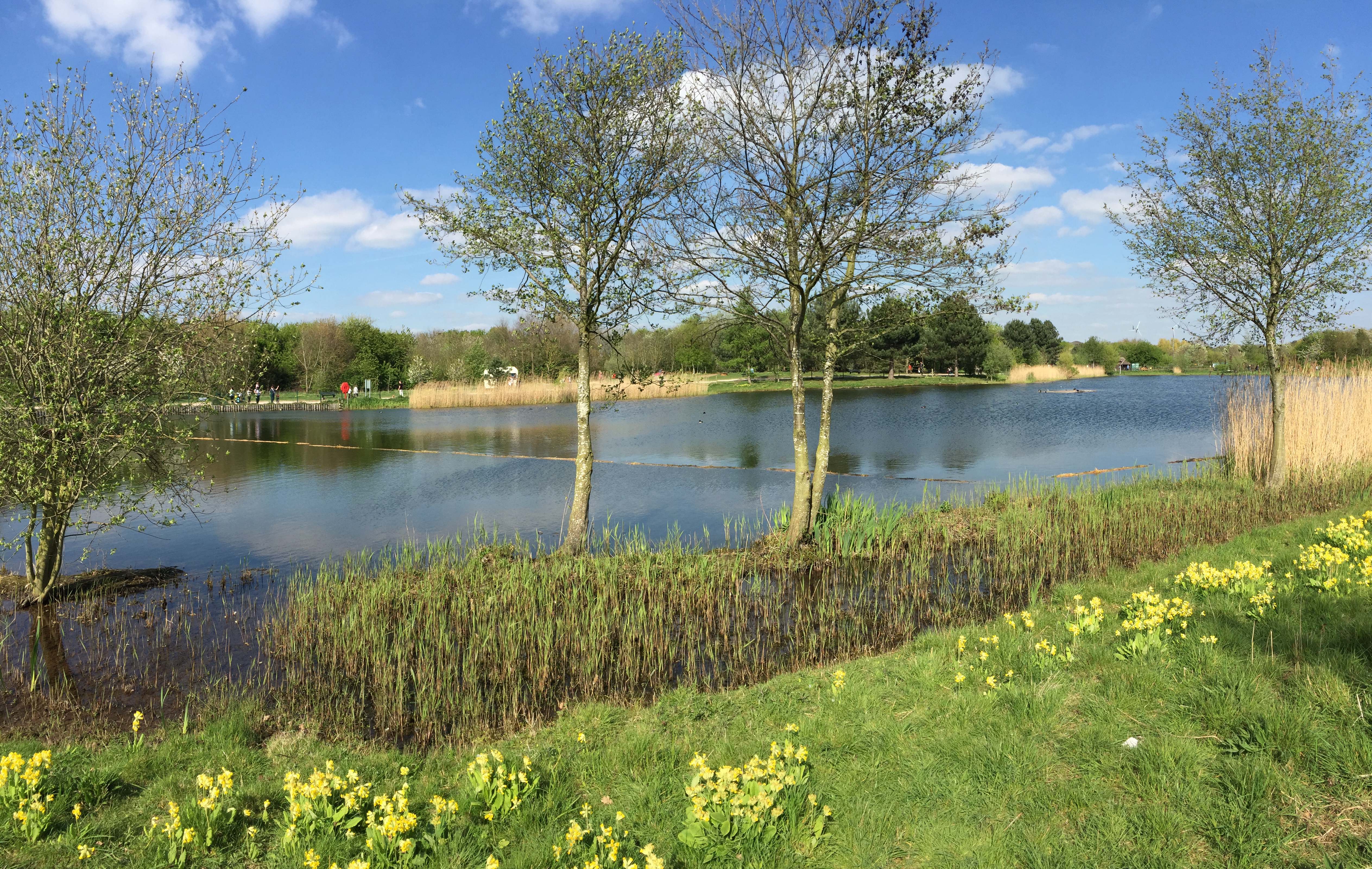 Nct S Ruddygooddayout Rushcliffe Country Park Ruddington Info