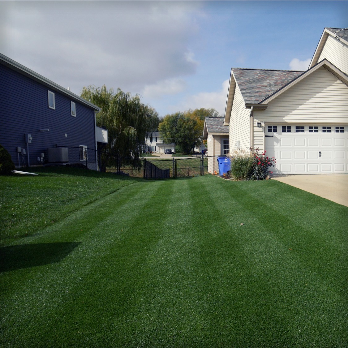 Ryan Knorr Lawn Care Elite Bluegrass Ryegrass Ryan Knorr Lawn Care