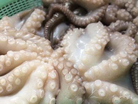生タコではなく茹でタコしかスーパーにない理由は こねこのニュース調べ 生タコではなく茹でタコしかスーパーにない理由は こねこのニュース調べ
