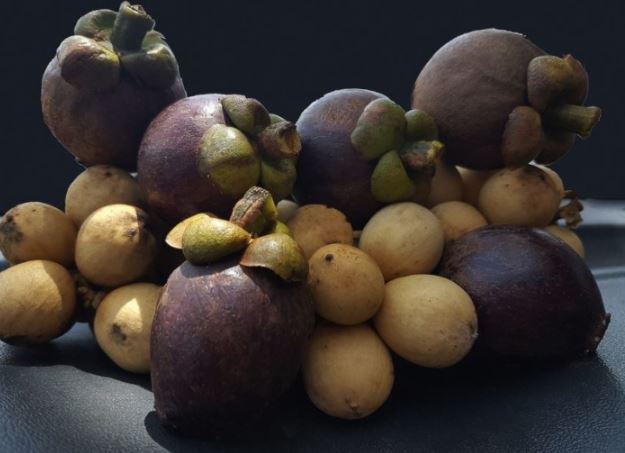 50 Gambar Buah Buahan Segar Wallpaper Buah Lengkap Hd Salamadian - Lukisan buah mangga #lukisan #buah #mangga 50 Gambar Buah Buahan Segar Wallpaper Buah Lengkap Hd Salamadian, Lukisan buah mangga