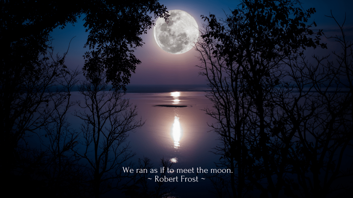 Musings Under The Hunter S Full Moon November 2020 Sally In The Zen