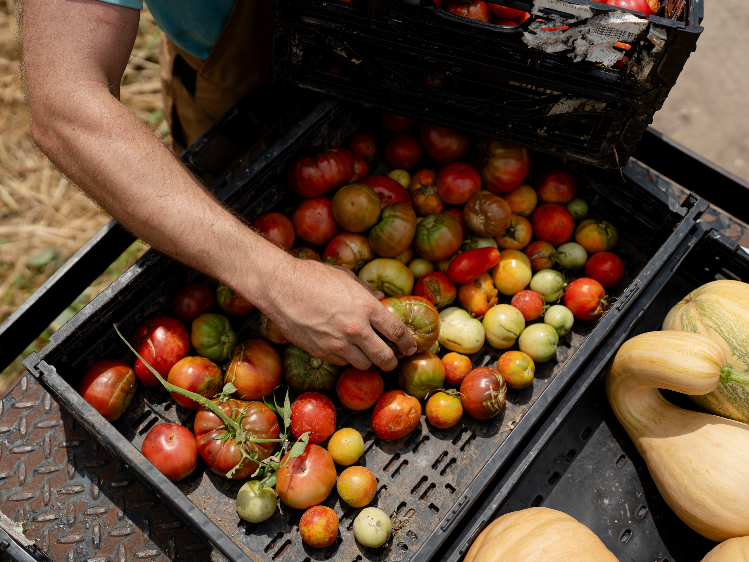 ‘Global weirding’: South Texas farmers deal with extreme heat, drought