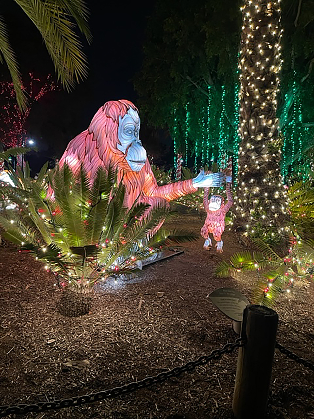 Iconic La Zoo Lights Show Returns The San Fernando Valley Sun