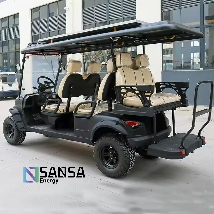 SANSA Golf Car Palmer 42 with FREE Premium Pack 6